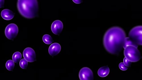 Shiny Purple Balloons Floating Up on Black Background