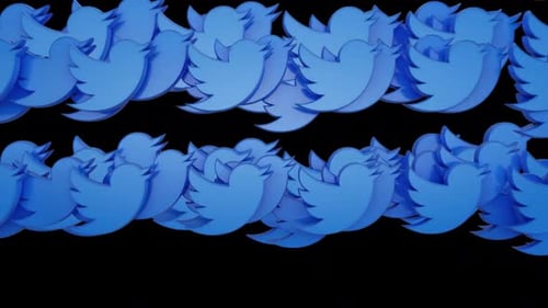 3D Blue Bird Logo Reveal for Social Media Transition