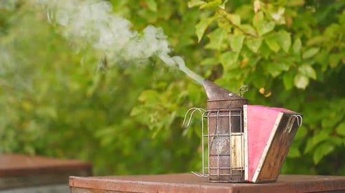 Smoker Stands on the Hives Producing White Smoke Closeup of White Smoke From the Smoker Beekeeper