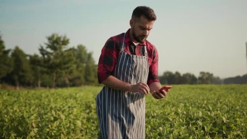 Handsome Farmer Uses a Phone on a Field Agronomist Activity Nature Agriculture Computer Digital