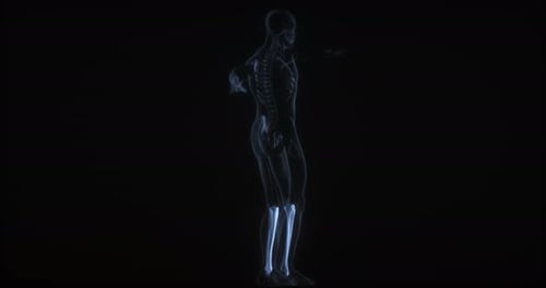 3D Rotating Human Skeletal System X-Ray Scan