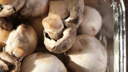 Fresh Champignons Mushroom in a White Bowl on Table
