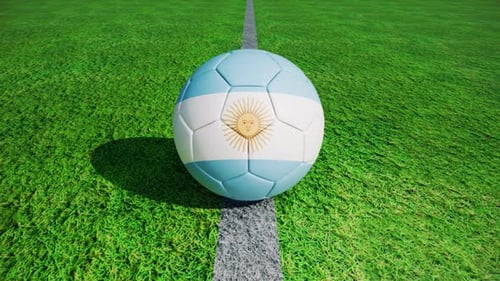 Argentina Flag Soccer Ball Football Ball