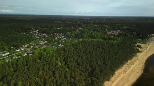Discover Breathtaking Aerial Views That Showcase the Lush Greenery of the Forest and the Serene