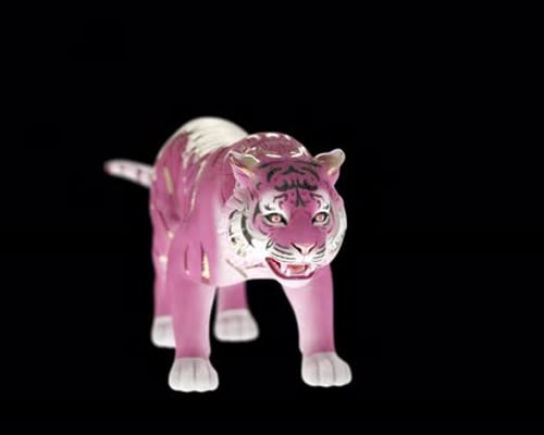 _Animation_ 3D Tiger _Roar2 alpha\_loop en porcelaine_ rose