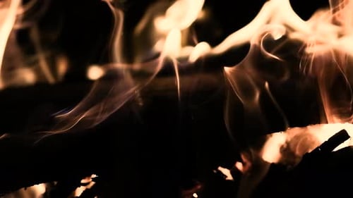 Forest fire