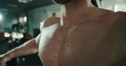 Close up of bodybuilders chest muscles (pectoralis major) while doing workout with free weights