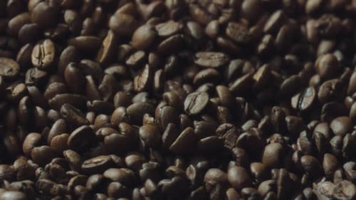 Roasted coffee beans moving on conveyor belt in coffee roasting plant