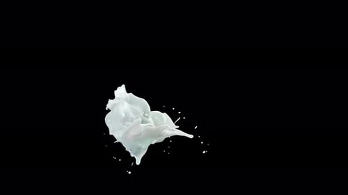 Milchspritzer in Zeitlupe auf transparenter Alpha 4K
