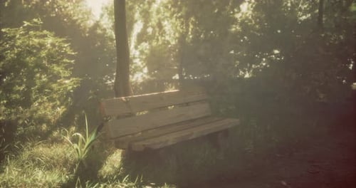 Sunlight Filters Through Trees Illuminating an Empty Wooden Bench in a Park