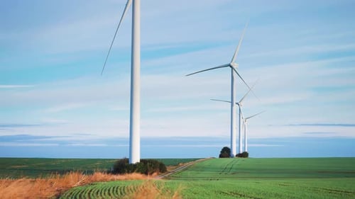 Wind turbines tower above the farm fields with fresh green sprouts.