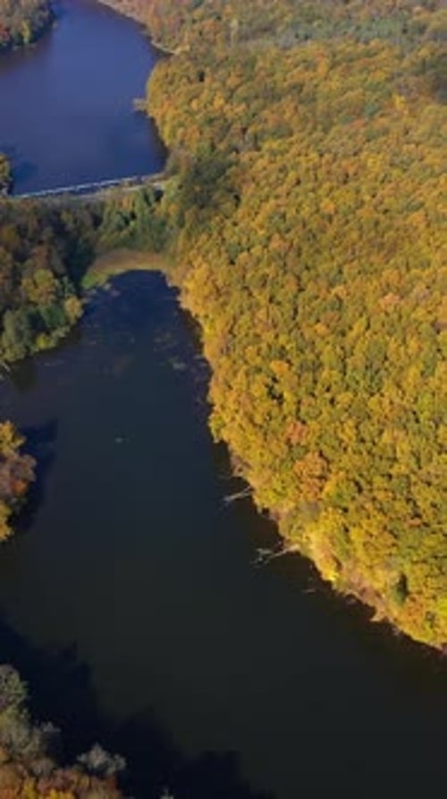 Outdoor seasonal natural scenery. Forest autumn landscapes aerial view. Vertical video