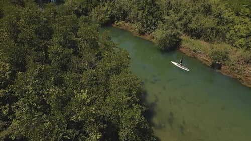 Aerial drown birds eye view of paddle boarders slowly paddling up river surrounded by tropical jungl