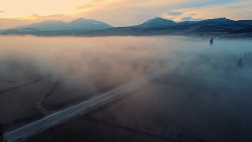 Foggy Path