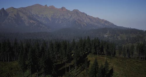 Mountains Rise Majestically Over a Dense Forest During Clear Daytime