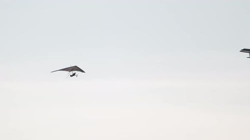 Hang Glider and Small Plane Flying in Sky