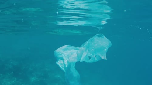 Plastic bag floats in the ocean underwater
