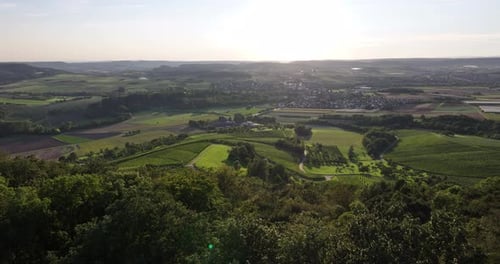 Aerial shot of a vineyard hiding behind a forest during summer