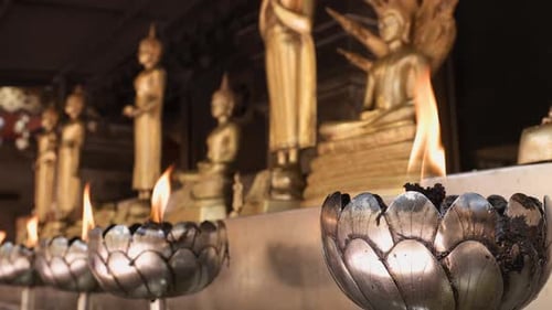 Close-up shot of candles with moving flame in lotus-shapes candle holders with row of golden Buddha