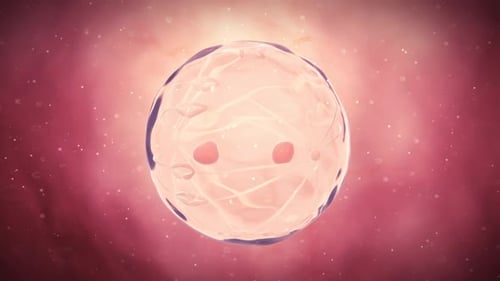 Wissenschaftliche Visualisierung einer menschlichen Zelle, die einen biologischen Teilungsprozess durchläuft