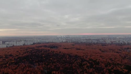 Herbst in der Stadt, Drohnenvideo. Rote Bäume bei bewölktem Wetter. Stadtlandschaft