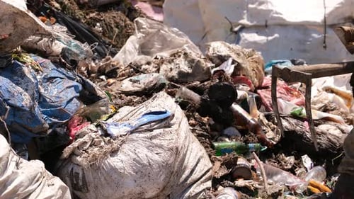 Worker Collecting Garbage in Landfill