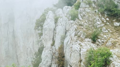 Mountain landscape. Stone rock on top of a mountain in fog with coniferous trees
