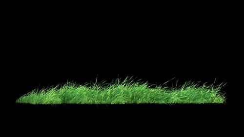 Grass Wind Loop on Alpha.