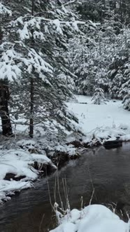4K Vertikal fließendes Wasser durch den verschneiten Winterwald