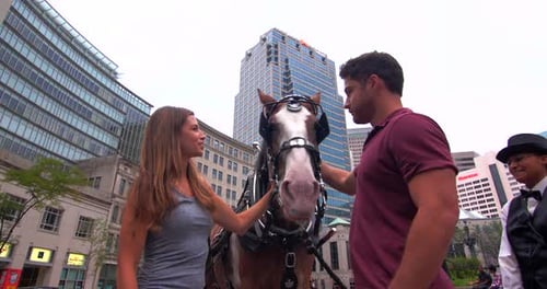 Couple with draft horse in an urban setting