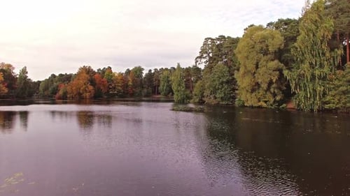 Camera Flies Over The Lake In A Forest