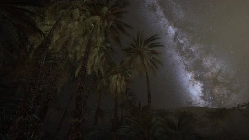 Night Scene with Silhouette Hut and Coconut Tree with Milky Way Galaxy in Sky