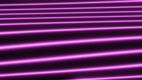 Abstract Wavy Glowing Purple Neon Lines Loop