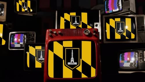 Vintage TVs Showing Static and Maryland Flag
