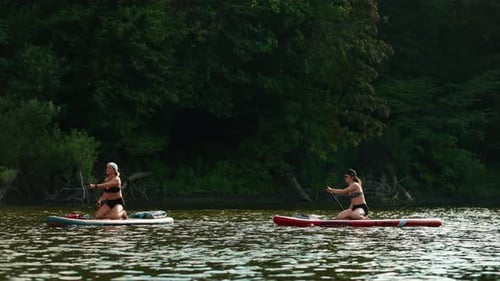 Women Paddleboarding on Tropical River