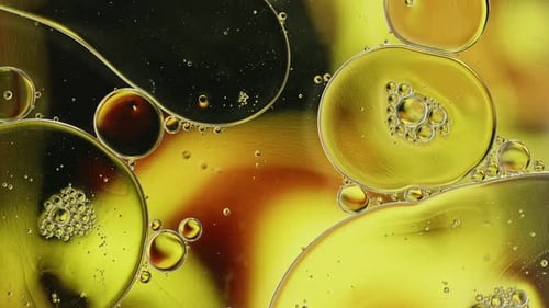 Abstract Oil Droplets in Water Close Up
