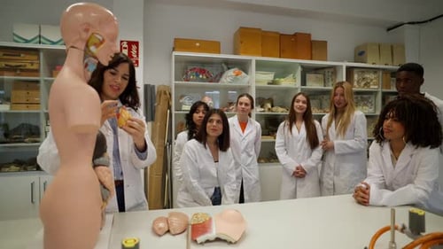 Medical Students Observing Anatomy Lesson with Teacher and Model