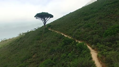 Person running on path, mountain and drone, environment and landscape with fitness in nature