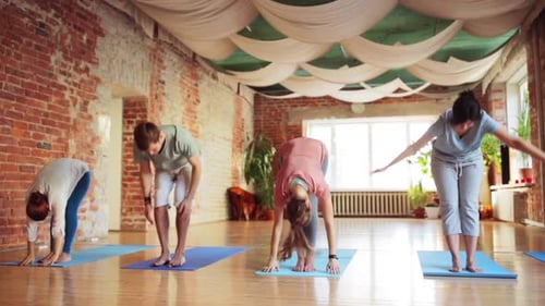 Yoga Class Group Exercise on Mats in Studio