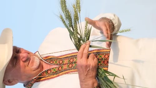 An Elegant Old Ukrainian Peasant is Holding Young Sprouts of Wheat in the Middle of a Field