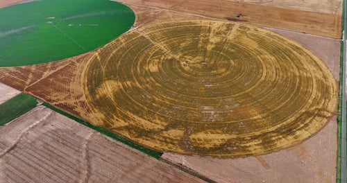 Circular farms of green and brown colors. Aerial view on the unusual agricultural fields
