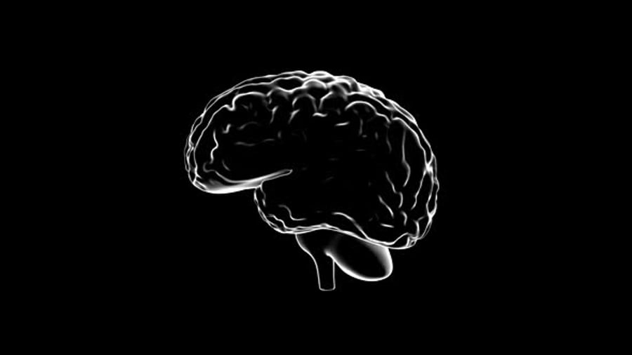 Minimalist Animated Brain Outline Rotation Loop, Backgrounds Motion ...