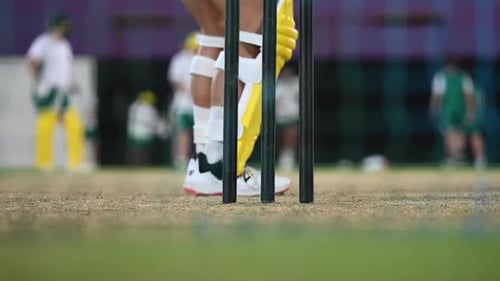 Players having evening net practice session on a cricket ground