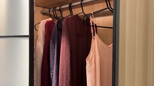 Stylish Clothing Hanging in an Organized Wardrobe
