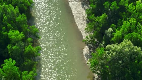 Explore Thailand's lush mangrove forests from above with a drone.