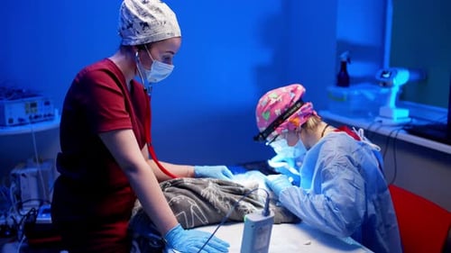 In a Veterinary Hospital a Veteran Operates on a Dog on the Table