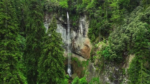 Aerial View Nature Waterfall in Mountain Forest Green Trees at Spring Season