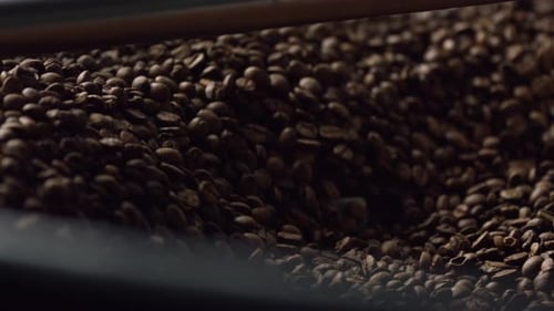 Coffee Beans Roasting in Machine, Close Up
