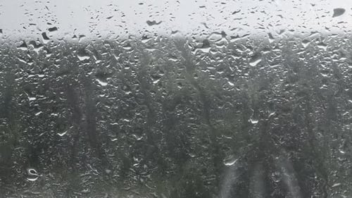Raindrops on Window with Trees Behind