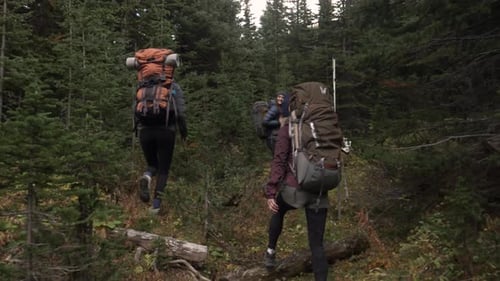 Young women friends trekking through lush woods on a backpacking adventure
